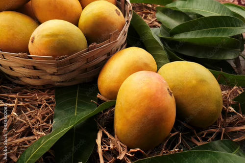 Alphonso Mango